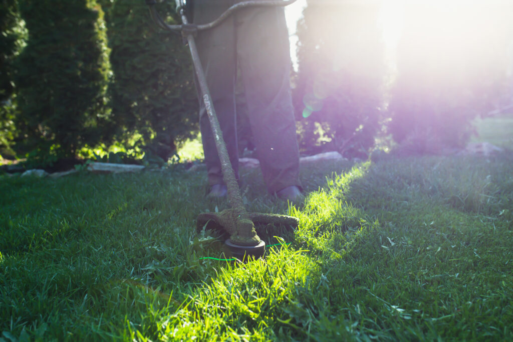 Fenland garden service