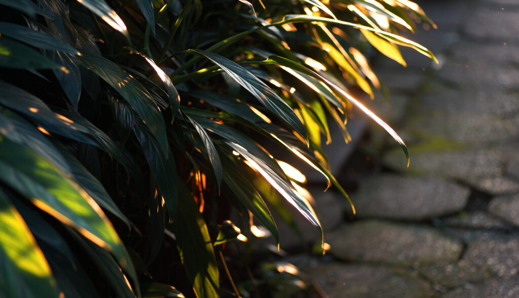 Lincolnshire home and garden services