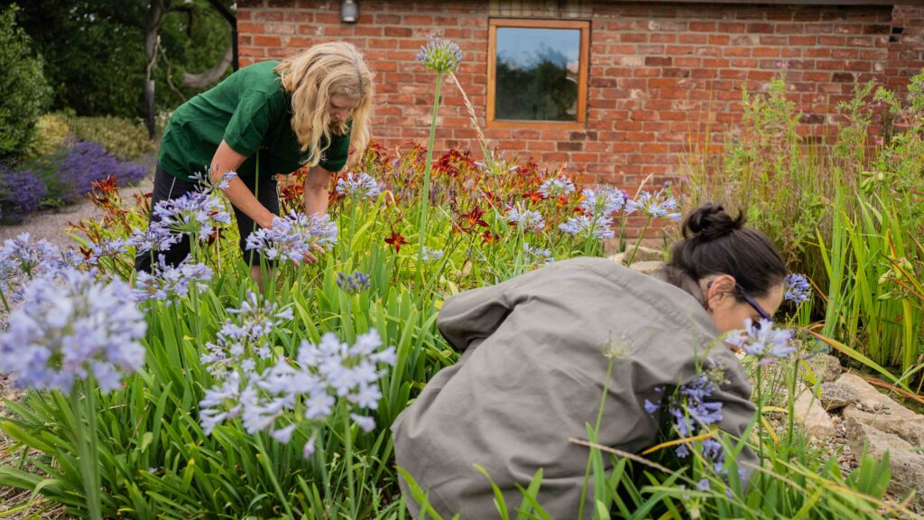 fenland homes and gardens services, lincolnshire