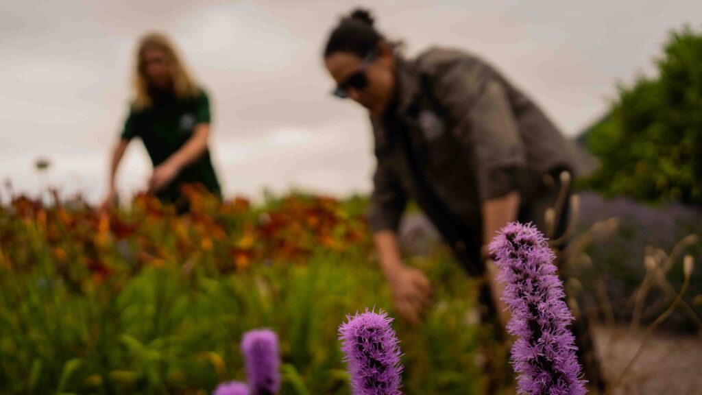 woman gardener service